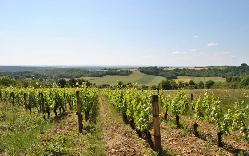 Vue-proche-Saint-Lay1jpg##Puits de Compostelle-LaCelle##©Franck-Chatanay##