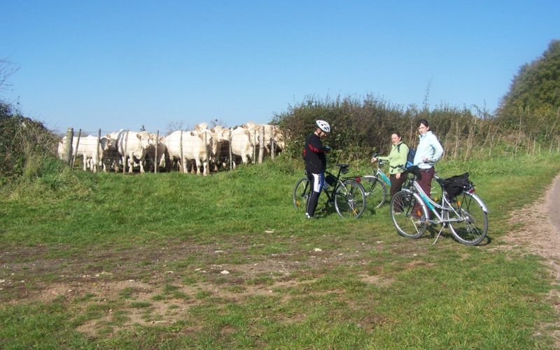 Photos-veloroute-012jpg##Randonnées cyclos en Pays Charitois ##ADT 58##