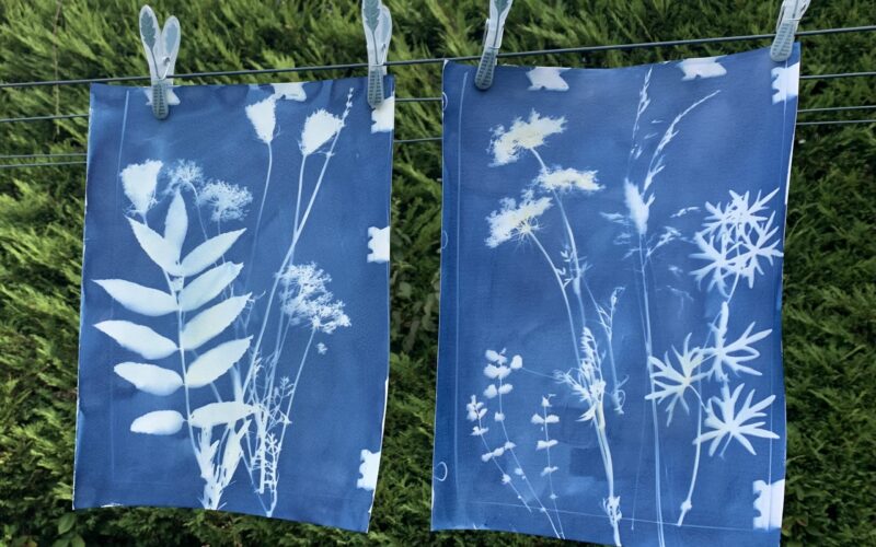 IMG-E4429JPG##Atelier "Herbier cyanotype"##Nature au Coeur ##