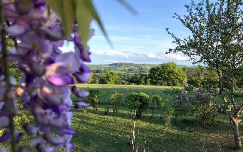 IMG-20200426-WA0001jpg##Vue de la terrasse sur la campagne##extérieur##