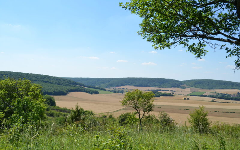 DSC-0178-3JPG##Panorama depuis la butte##Charlène Jorandon##