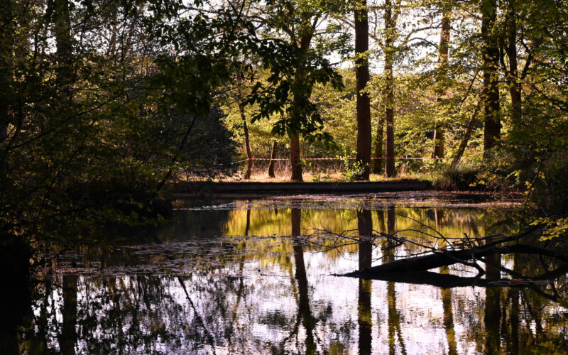 fontaine-bougers-septembre-2020-credits-charlene-jorandon-7-2