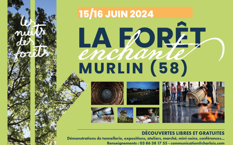 2024-la-foret-enchante-murlin-charloisjpg##La forêt enchante Murlin 2024##Charlois##